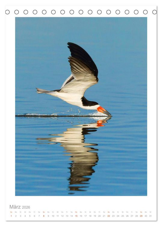 Produktbild: Pantanal &ndash; Einzigartiges Wildlife-Paradies (Tischkalender 2026 DIN A5 hoch), CALVENDO Monatskalender