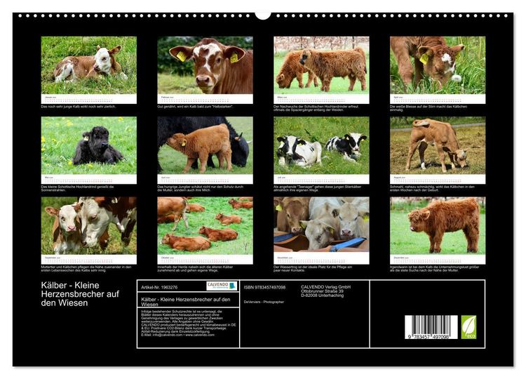 Produktbild: K&auml;lber - Kleine Herzensbrecher auf den Wiesen (hochwertiger Premium Wandkalender 2026 DIN A2 quer), Kunstdruck in Hochglanz