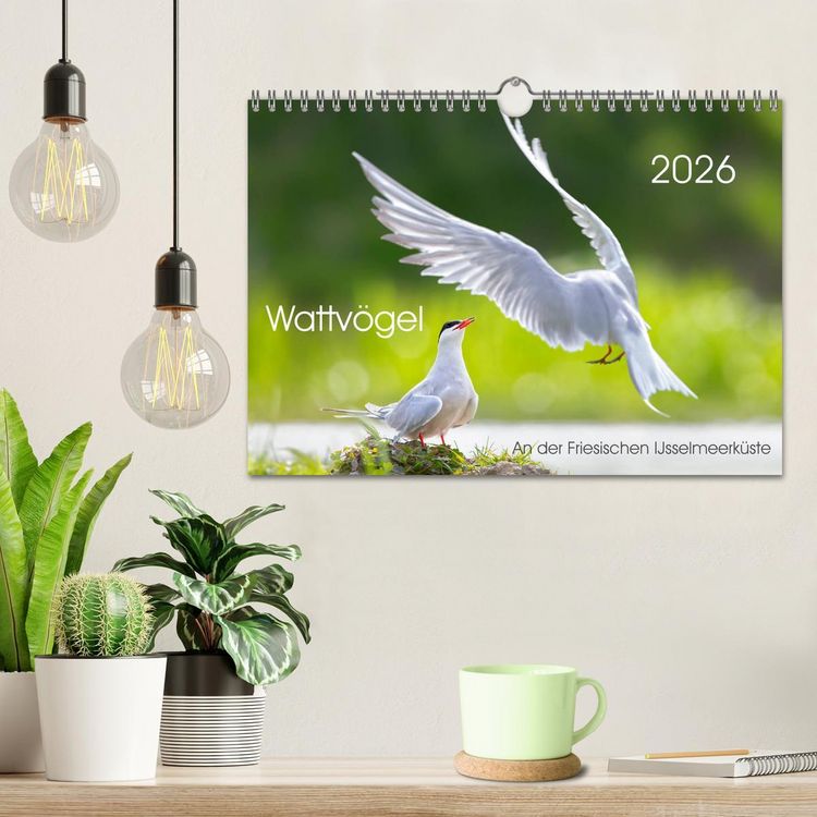Produktbild: Wattv&ouml;gel an der Friesischen IJsselmeerk&uuml;ste (Wandkalender 2026 DIN A4 quer), CALVENDO Monatskalender