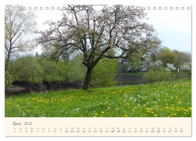 Produktbild: Bremer Blockland - Landleben in der Gro&szlig;stadt (Wandkalender 2026 DIN A4 quer), CALVENDO Monatskalender
