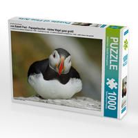 Produktbild: CALVENDO Puzzle von Babett Paul - Papageitaucher - kleine V&ouml;gel ganz gro&szlig;! 1000 Teile Lege-Gr&ouml;&szlig;e 64 x 48 cm Foto-Puzzle Bild von Babett Paul - Babett'