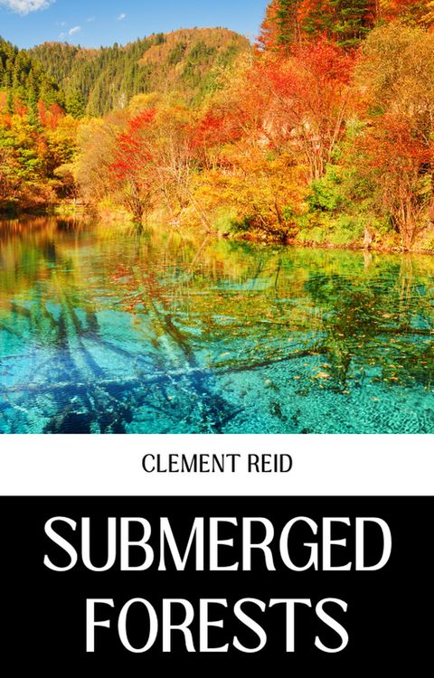 Produktbild: Submerged Forests