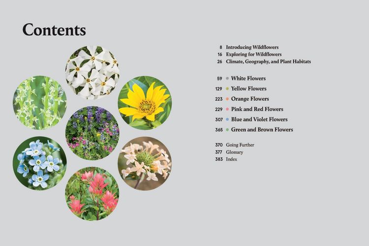 Produktbild: Eastern Washington and Oregon in Bloom