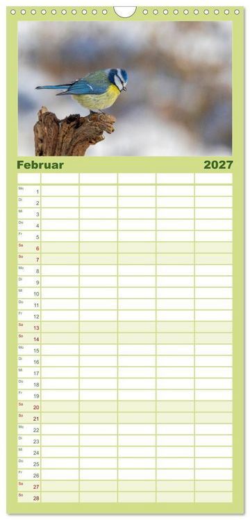 Produktbild: Familienplaner 2027 - Der Kernbei&szlig;er und seine gefiederten Gesellen mit 5 Spalten (Wandkalender, 21 x 45 cm) CALVENDO