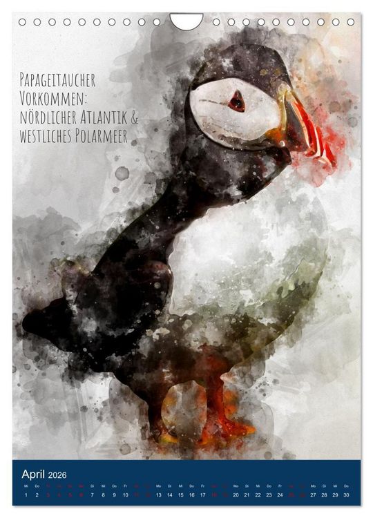 Produktbild: Exotische V&ouml;gel - Die Sch&ouml;nsten der Welt in Aquarell (Wandkalender 2026 DIN A4 hoch), CALVENDO Monatskalender