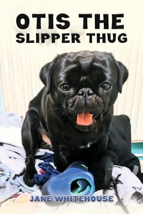 Produktbild: Otis the Slipper Thug