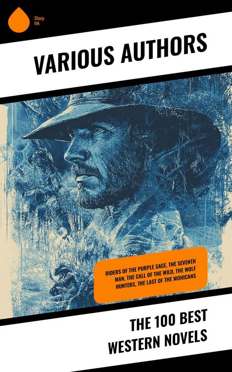 Produktbild: The 100 Best Western Novels