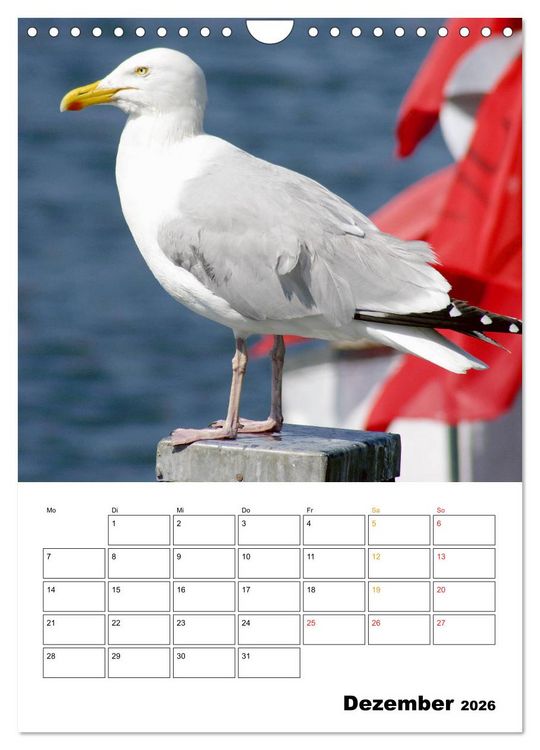 Produktbild: Vielseitiges B&uuml;sum (Wandkalender 2026 DIN A4 hoch), CALVENDO Monatskalender