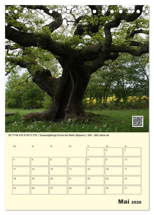 Produktbild: Uralt - Mit QR-Code und GPS zu alten B&auml;umen (Tischkalender 2026 DIN A5 hoch), CALVENDO Monatskalender