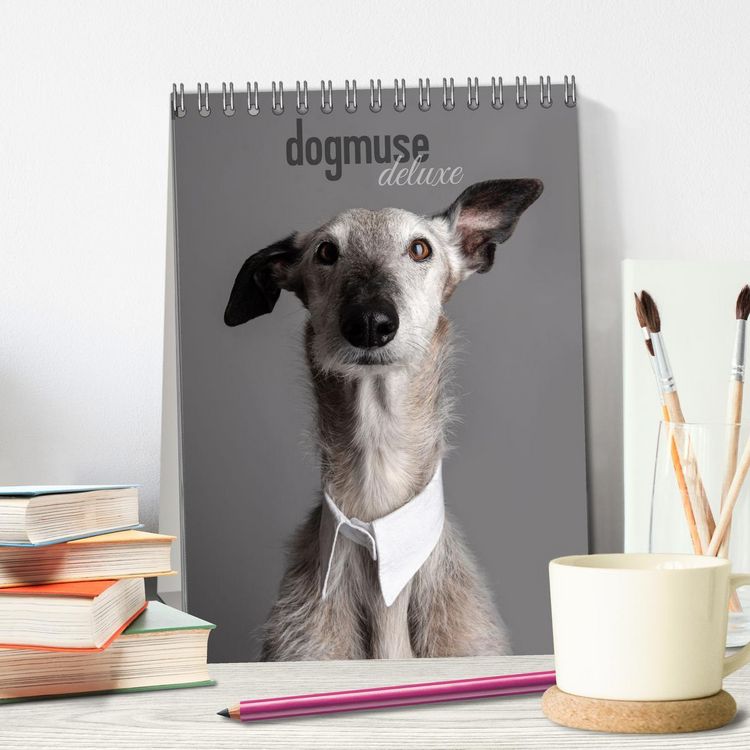 Produktbild: dogmuse deluxe (Tischkalender 2026 DIN A5 hoch), CALVENDO Monatskalender