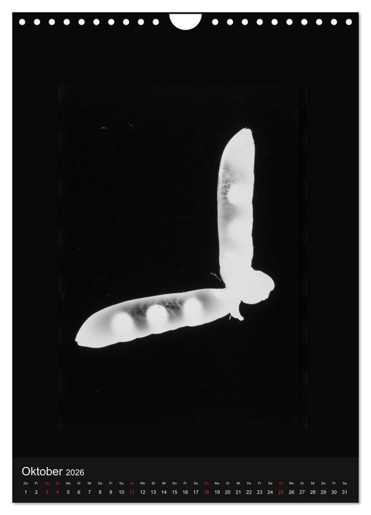 Produktbild: Anton Stankowski Fotogramme (Wandkalender 2026 DIN A4 hoch), CALVENDO Monatskalender