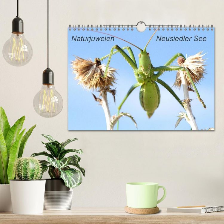Produktbild: Naturjuwelen - Neusiedler See (Wandkalender 2026 DIN A4 quer), CALVENDO Monatskalender