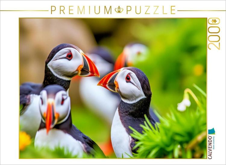 Produktbild: CALVENDO Puzzle Mit der Eleganz eines Papageientauchers. | 2000 Teile Lege-Gr&ouml;&szlig;e 90x67cm Foto-Puzzle f&uuml;r gl&uuml;ckliche Stunden