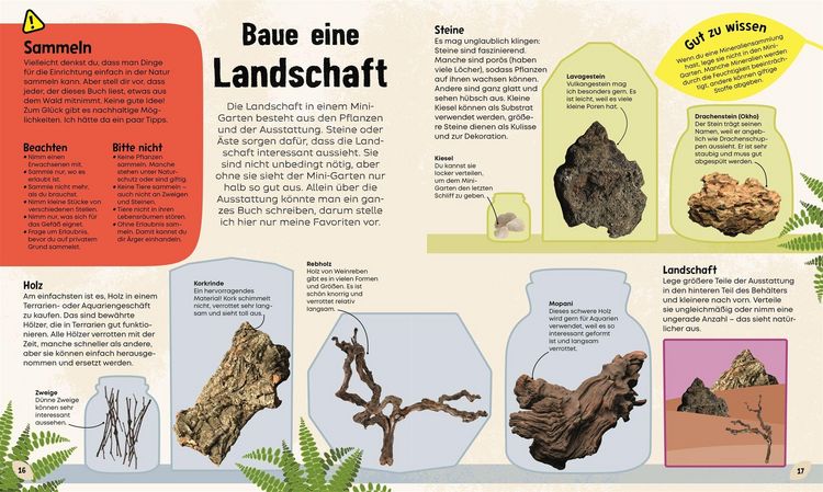 Produktbild: Mein Mini-Garten im Glas