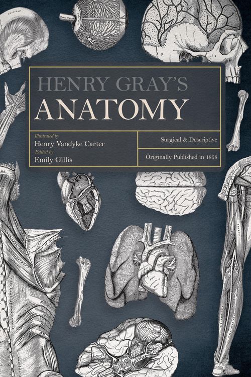 Produktbild: Henry Gray's Anatomy