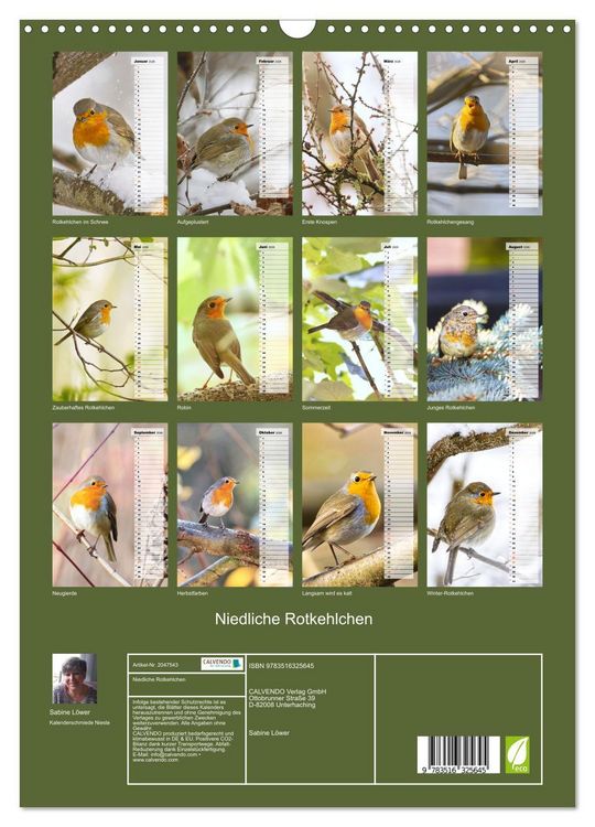 Produktbild: Niedliche Rotkehlchen (Wandkalender 2026 DIN A3 hoch), CALVENDO Monatskalender
