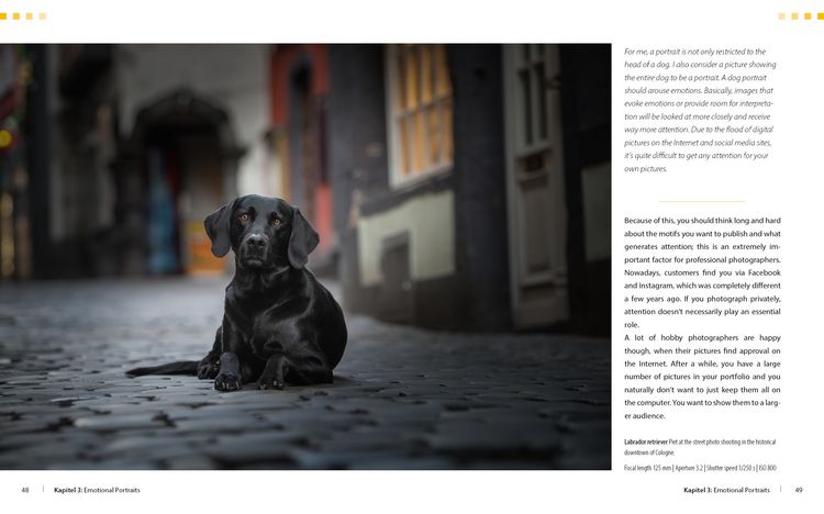 Produktbild: Dog Photography - Shooting with Bow "Wow" Effect