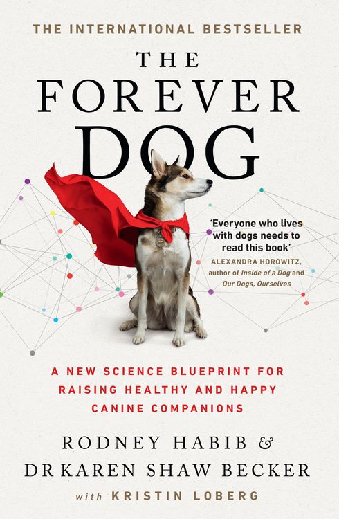 Produktbild: The Forever Dog