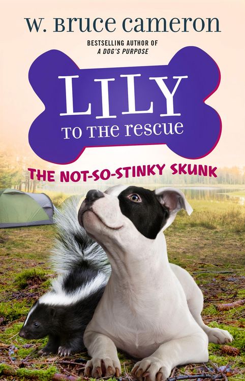 Produktbild: Lily to the Rescue: The Not-So-Stinky Skunk