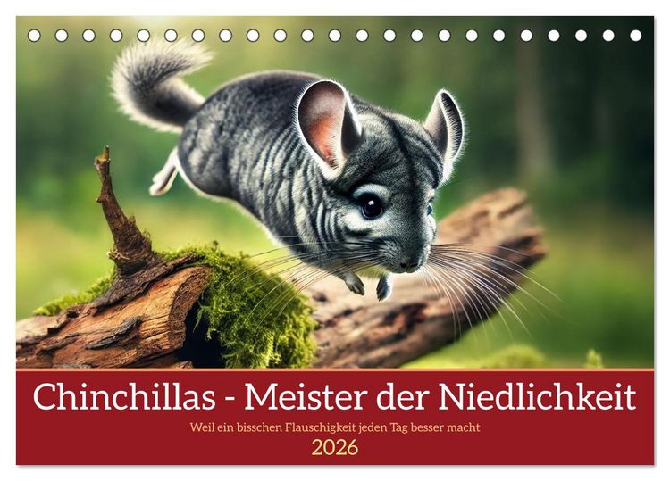 Produktbild: Chinchillas - Meister der Niedlichkeit (Tischkalender 2026 DIN A5 quer), CALVENDO Monatskalender
