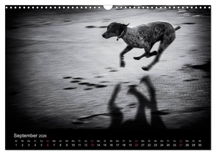 Produktbild: Das Licht in Schwarz und Wei&szlig; (Wandkalender 2026 DIN A3 quer), CALVENDO Monatskalender