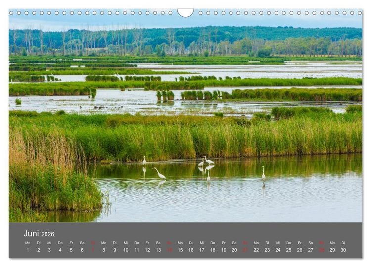 Produktbild: Sch&ouml;nes Meck-Pomm (Wandkalender 2026 DIN A3 quer), CALVENDO Monatskalender