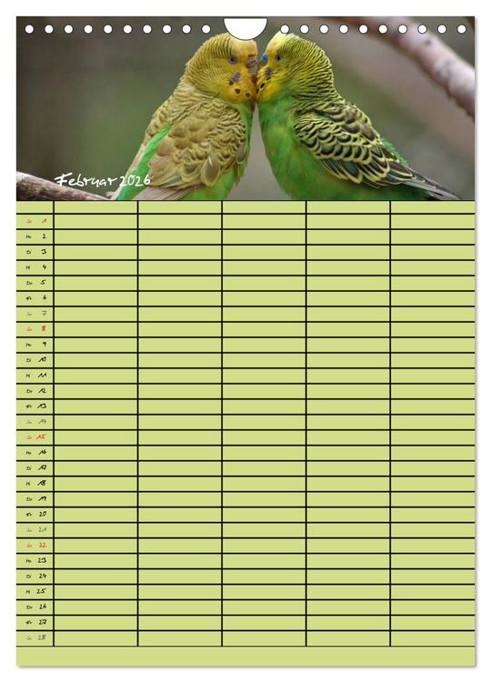Produktbild: Der Wellensittich-Familienplaner (Wandkalender 2026 DIN A4 hoch), CALVENDO Monatskalender