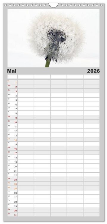 Produktbild: Familienplaner 2026 - Filigrane Pusteblumen / Geburtstagskalender mit 5 Spalten (Wandkalender, 21 x 45 cm) CALVENDO