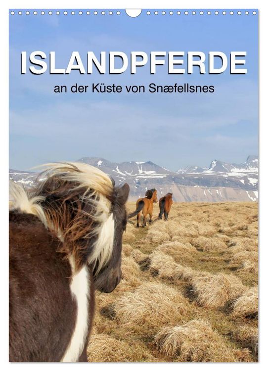 Produktbild: ISLANDPFERDE an der K&uuml;ste von Sn&aelig;fellsnes (Wandkalender 2026 DIN A3 hoch), CALVENDO Monatskalender