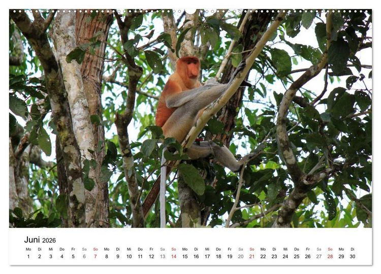 Produktbild: Highlights einer Weltreise (hochwertiger Premium Wandkalender 2026 DIN A2 quer), Kunstdruck in Hochglanz