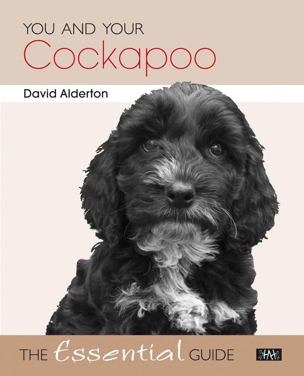 Produktbild: You and Your Cockapoo