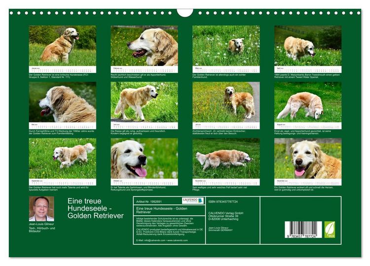 Produktbild: Eine treue Hundeseele - Golden Retriever (Wandkalender 2026 DIN A3 quer), CALVENDO Monatskalender