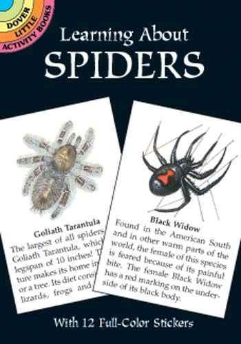 Produktbild: Sticker Bk-Learning Abt Spider