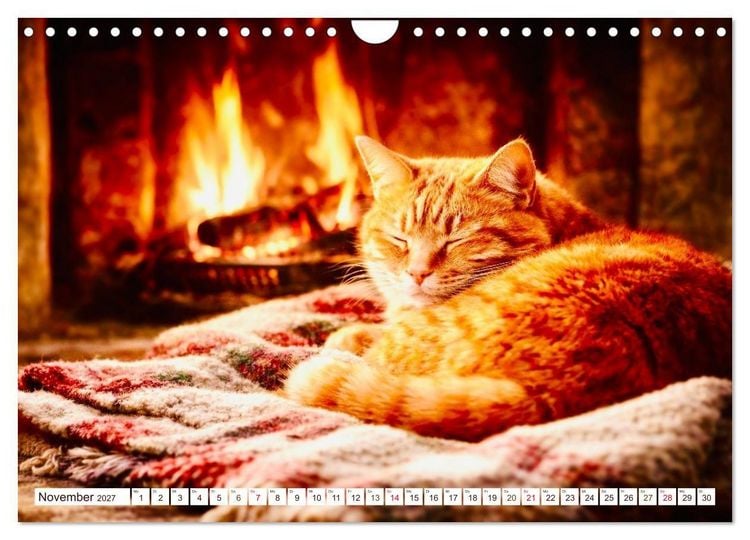 Produktbild: Rote Katzen (Wandkalender 2027 DIN A4 quer), CALVENDO Monatskalender