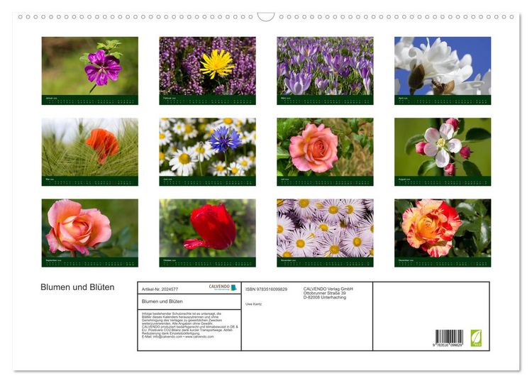 Produktbild: Blumen und Bl&uuml;ten (Wandkalender 2026 DIN A2 quer), CALVENDO Monatskalender