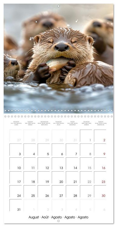 Produktbild: Cute Otter Moments (Wall Calendar 2026 12 &times; 12 Inch) CALVENDO 12 Month Wall Calendar