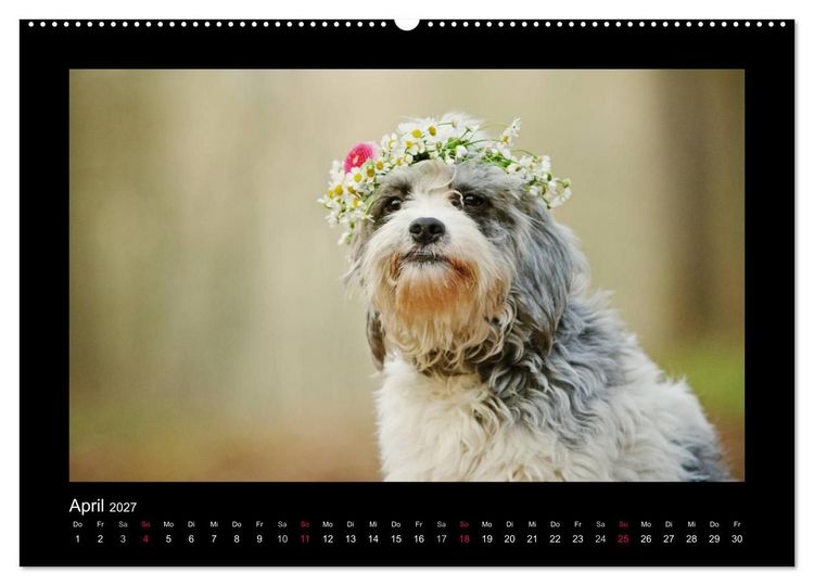 Produktbild: MIXlinge (hochwertiger Premium Wandkalender 2027 DIN A2 quer), Kunstdruck in Hochglanz