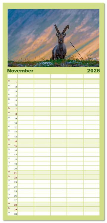 Produktbild: Familienplaner 2026 - Bergk&ouml;nige - Steinb&ouml;cke im Blickpunkt der Naturfotografie mit 5 Spalten (Wandkalender, 21 x 45 cm) CALVENDO