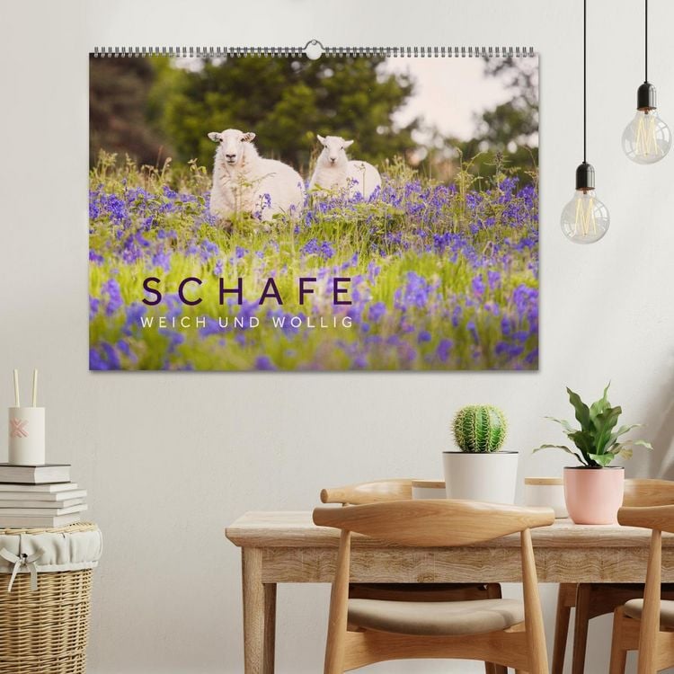 Produktbild: Schafe - Weich und wollig (Wandkalender 2026 DIN A2 quer), CALVENDO Monatskalender