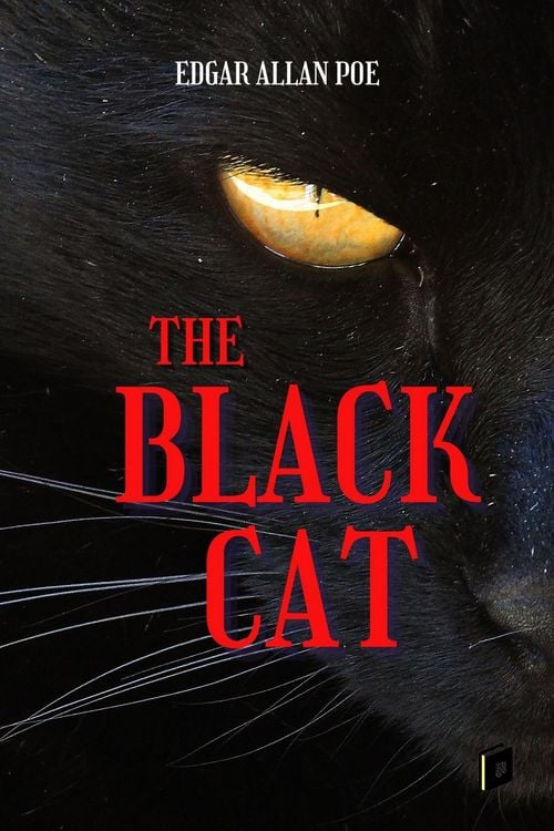 Produktbild: The Black Cat