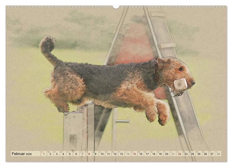 Produktbild: Airedale Terrier 2026 (hochwertiger Premium Wandkalender 2026 DIN A2 quer), Kunstdruck in Hochglanz