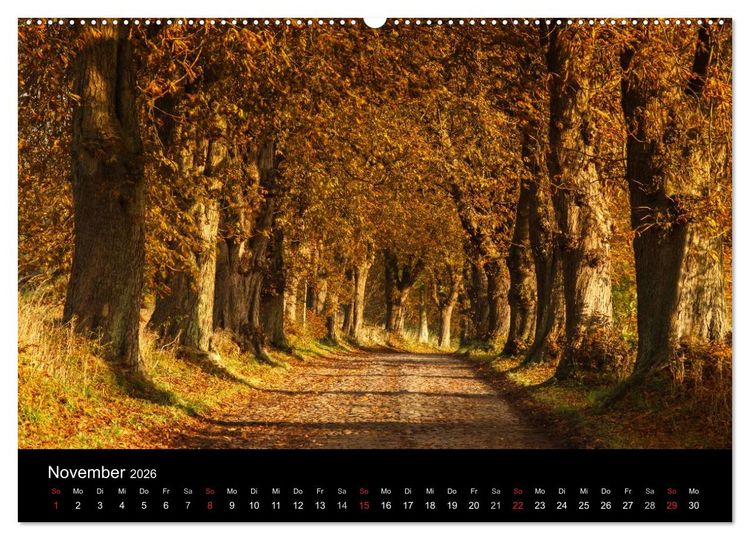 Produktbild: Ostseeinsel R&uuml;gen Impressionen (Wandkalender 2026 DIN A2 quer), CALVENDO Monatskalender