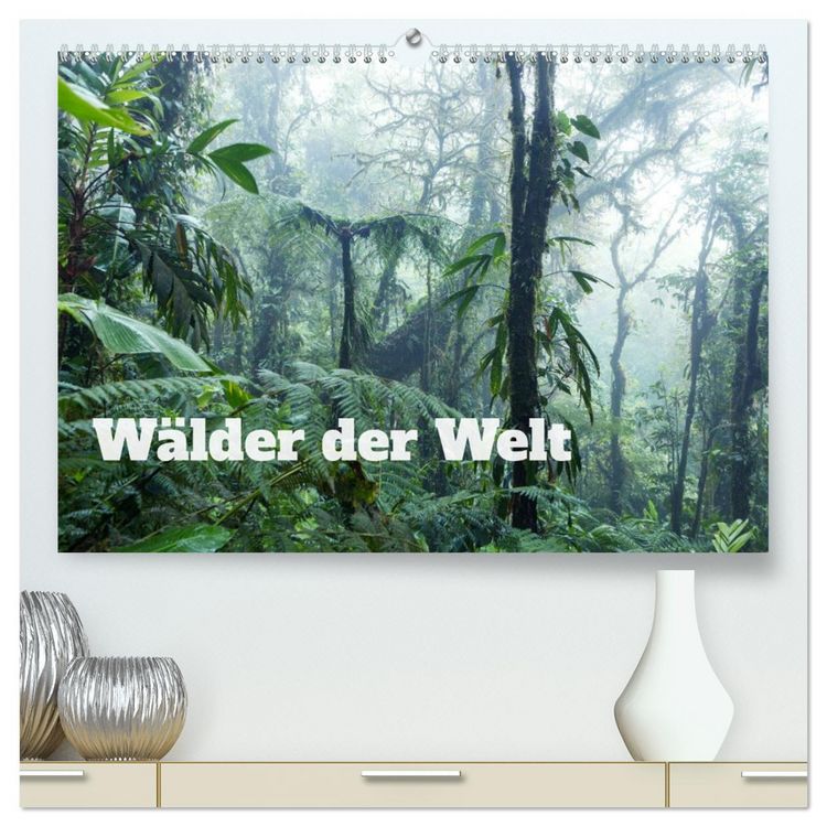 Produktbild: W&auml;lder der Welt (hochwertiger Premium Wandkalender 2026 DIN A2 quer), Kunstdruck in Hochglanz
