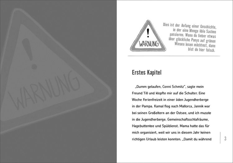 Produktbild: Wie ich in den Sommerferien aus der Geisterbahn fiel und eine Elektrikerin entf&uuml;hrte