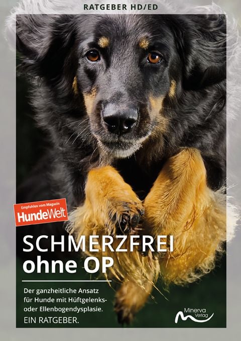 Produktbild: Schmerzfrei ohne OP