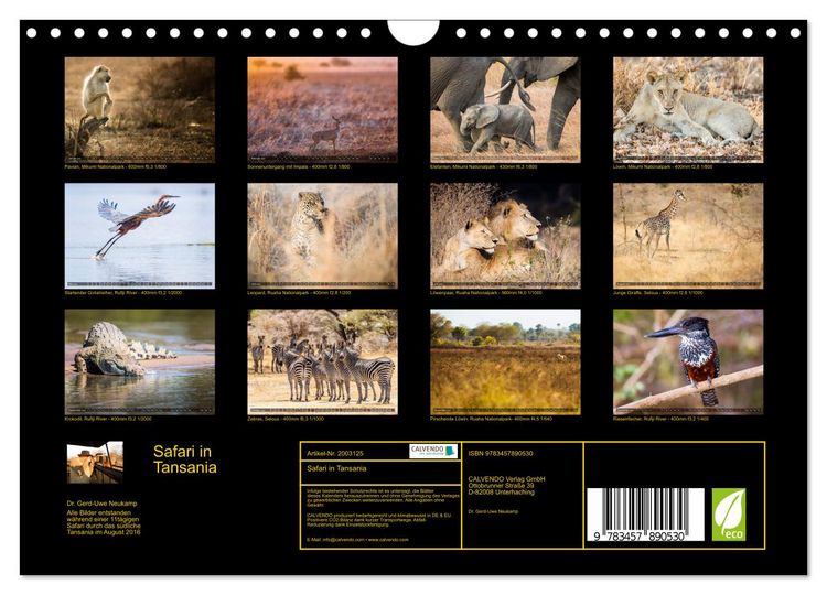 Produktbild: Safari in Tansania (Wandkalender 2026 DIN A4 quer), CALVENDO Monatskalender