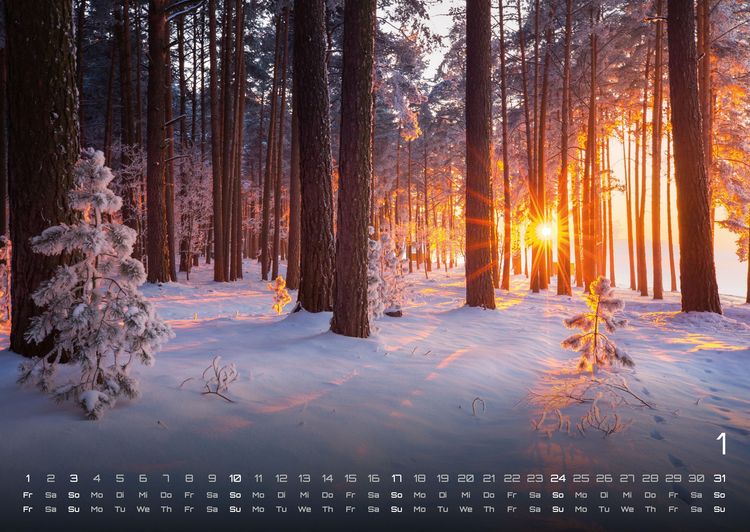 Produktbild: Wald - Erholung f&uuml;r Mensch und Tier - 2027 - Kalender DIN A2