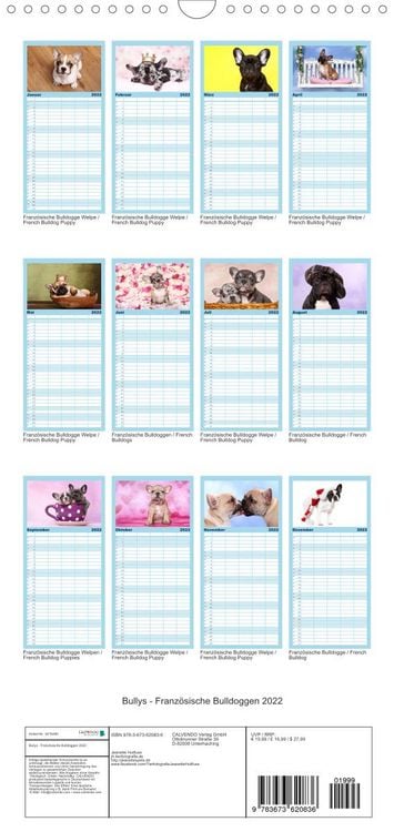 Produktbild: Bullys - Franz&ouml;sische Bulldoggen 2022 - Familienplaner hoch (Wandkalender 2022 , 21 cm x 45 cm, hoch)