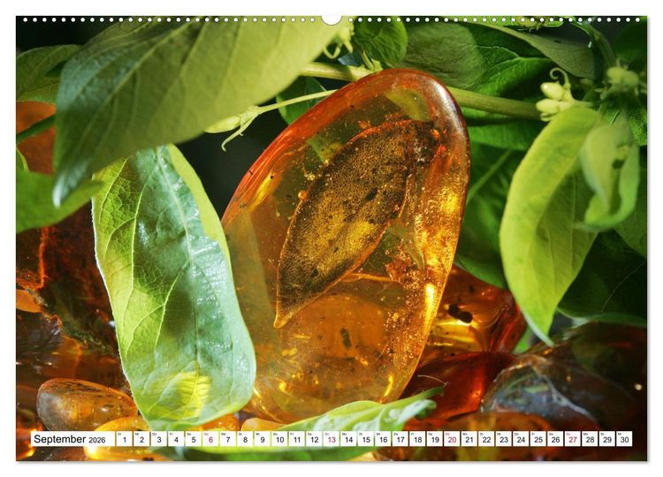 Produktbild: Versteinerte Welt (hochwertiger Premium Wandkalender 2026 DIN A2 quer), Kunstdruck in Hochglanz