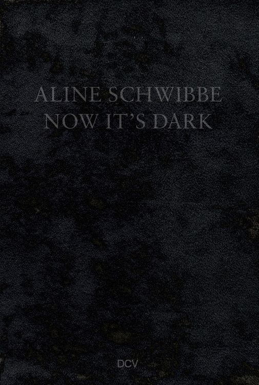 Produktbild: Aline Schwibbe &ndash; Now It&rsquo;s Dark
